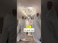 ترند جديد لايك اشتراك دعم لايك اكسبلور ترند ترند جديد لايك اشتراك دعم لايك اكسبلور ترند