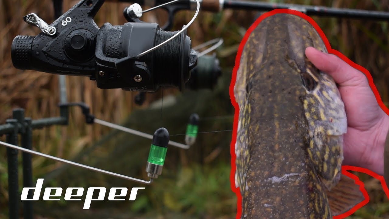 DEADBAIT PIKE FISHING WITH DEEPER