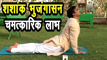 शरीर के मोटापा Motape को खत्म करें-शशांक भुजंगासन#Motapa#Obesity_Yoga#Dr_Manoj_Yogacharya#Trinetr