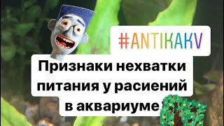 Когда добавлять удобрения в аквариум? Первые признаки нехватки удобрений 🧪