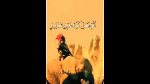 سورة الفيل #الرحمن #اكسبلور #قرآن#قران_كريم