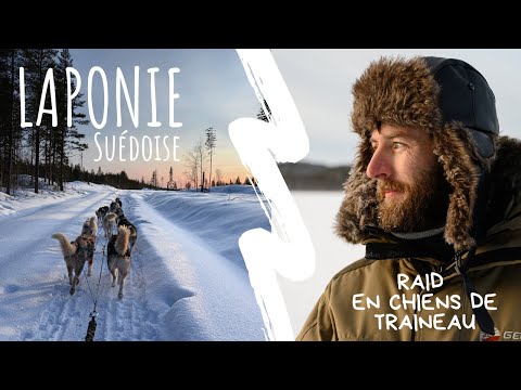 Vidéo: Traîneau à Chiens En Laponie Suédoise [PICs] - Réseau Matador