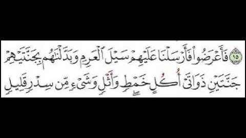 سورة سبأ الاية رقم 16