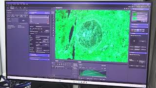 How to acquire the image using ZEN pro #microscope #zeiss