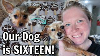 Healthy as a Horse | Mastering Treats? | Busy Schedule Ahead