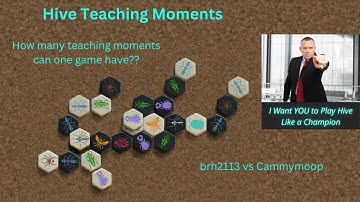How Many Teaching Moments Can One Hive Game Have?
