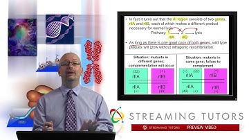 Mutations and the Nature of the Gene   Complementation Testing tutorial