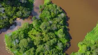 Drone Fight Around Glider Forest  Larapinta 10-01-22