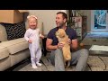 Adorable Baby Girl Tries To Walk Golden Retriever Puppy! (Cutest Transition!!)