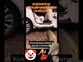 Для колег і салону не шкода 😁😄🤣 #funny #duet #життя #love #family #fup #cat #news #new #гумор
