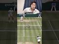 The best counter! #reaction #tennis #wimbledon #sports #epic @Wimbledon