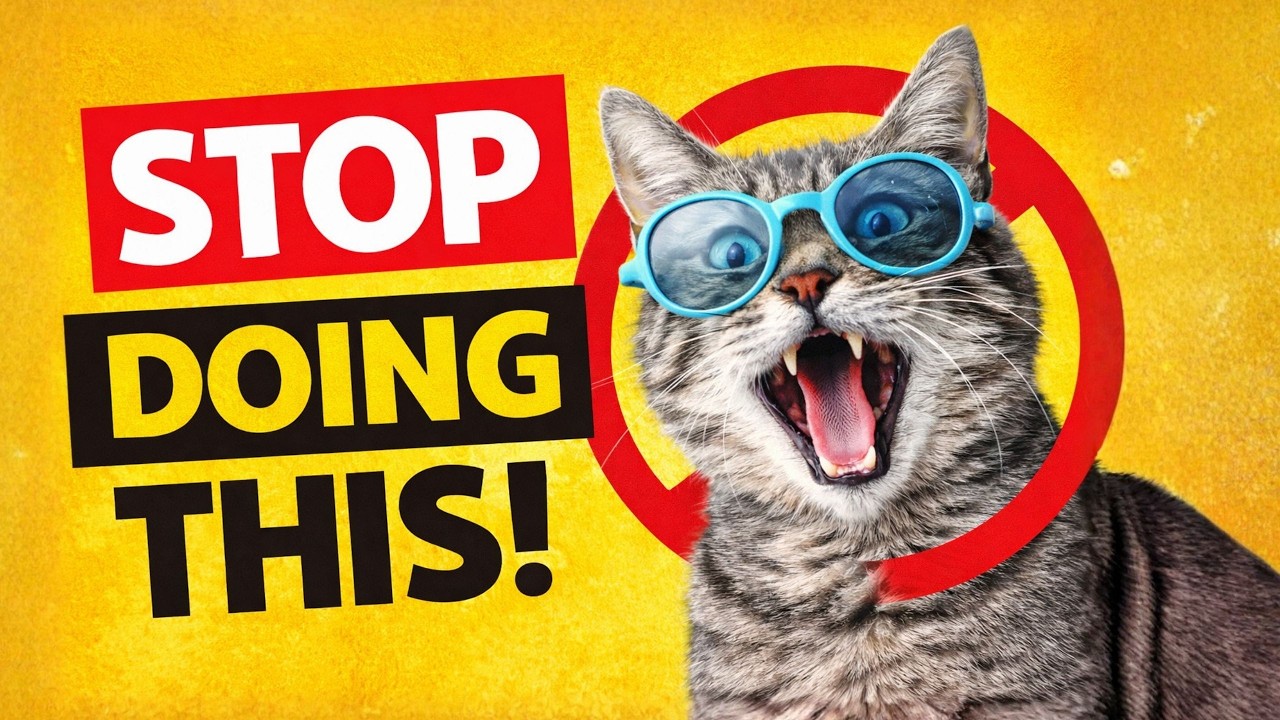 Cat Owners Beware Your Pet May Be Hiding Something