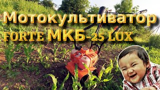 Культиватор FORTE MKB-25 LUX после года использования