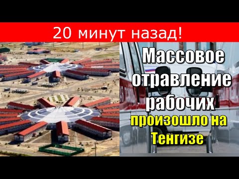 20 минут назад!
