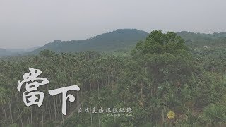 「當下」紀錄片～自然農法課程紀錄．里山桂林二部曲 