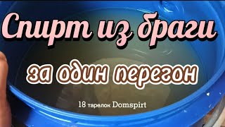 Спирт из браги за один перегон на 18-ти тарелках Domspirt.