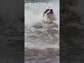 “A Dolphin Saved This Dog’s Life. You Won’t Believe How 🐾”animal​ #animals​ #cuteanimals​ #dog​#cat