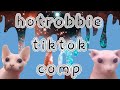 a chaotic hotrobbie tiktok compilation for the little gay people living in my phone