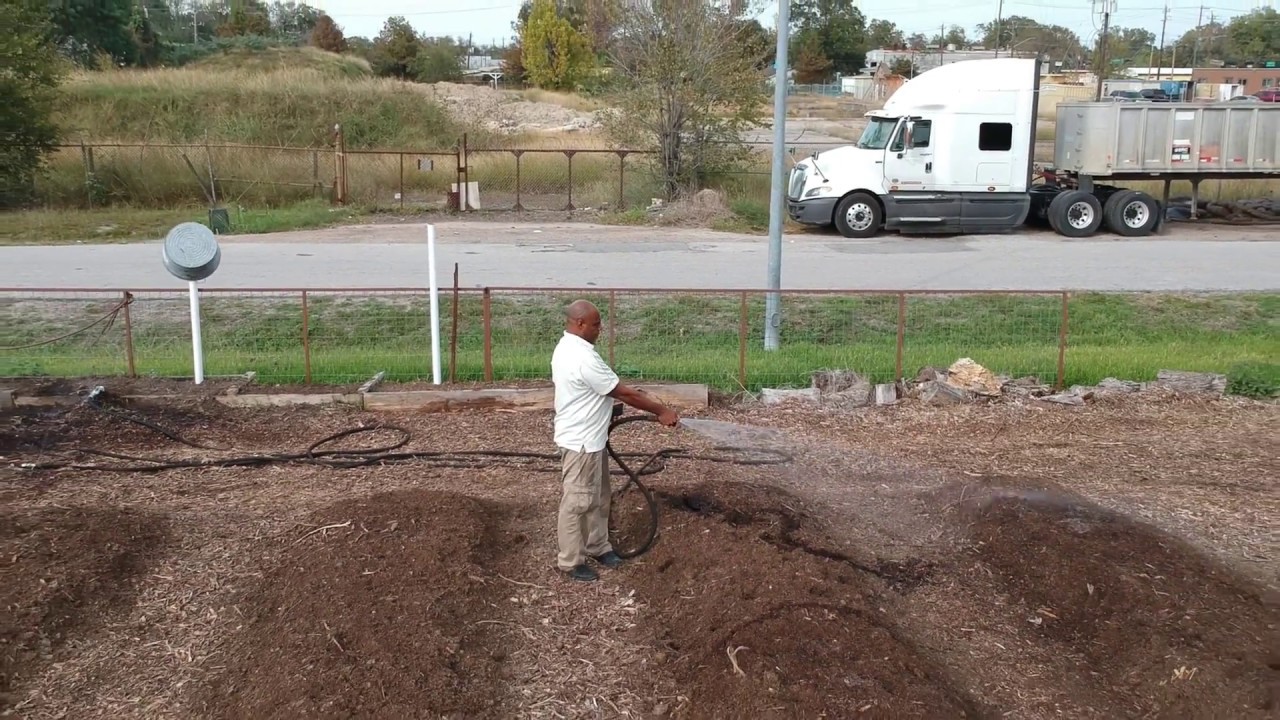 Worm Farm In Houston Texas Preparing Beds Raw You Worm Farm In Houston Texas Preparing Beds Raw You