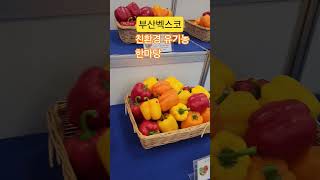 부산벡스코 친환경유기농한마당 행사 #친환경농업 #친환경제품 #친환경유기농한마당 #부산벡스코 #유기농산물 #친환경농산물 유기농도라지 #친환경도라지 #doraji #황금도라지