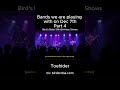 Bird's Robe 15th Birthday Shows - Toehider