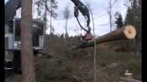 Log Max 7000 on TimberPro