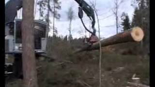 Log Max 7000 on TimberPro