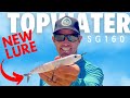 🔥EPIC TOPWATER ACTION ON MY NEW LURE🔥 