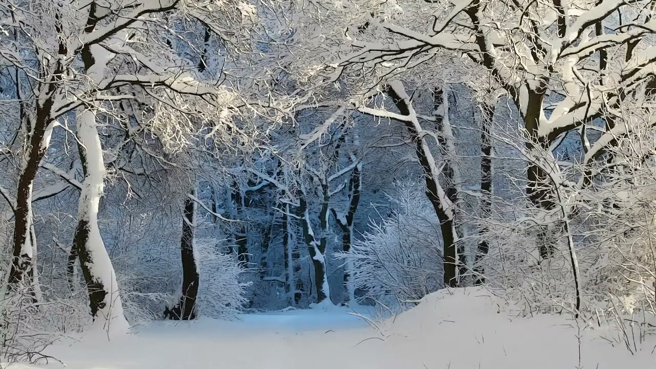 Watercolor Landscapes | Winter Landscape & More | Silent Art Screensaver