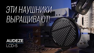 :    Audeze LCD-5