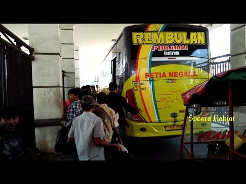 Nomor Telepon Po Bus Setia Negara - Seputar Nomor