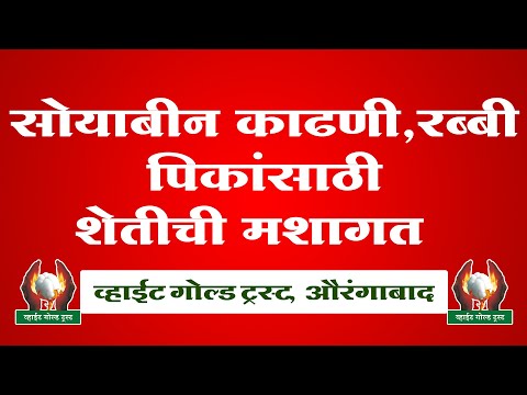 वीडियो: वजन नियंत्रण खाद्य पदार्थ पालतू जानवरों को पतला क्यों नहीं करेंगे?