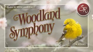 Woodland Symphony - Singing Birds &amp; Other Forest Ambience for Relaxation - Dark Screen 4 Hours