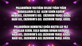 HADİ GEL  ERZURUMA GEL- KARAOKE Resimi