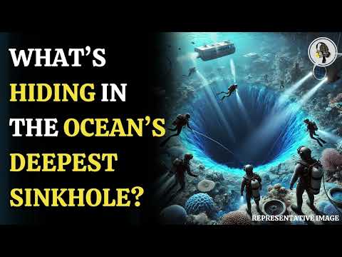 Ceres: An Ocean World with Hidden Saltwater Reservoir | WION Podcast