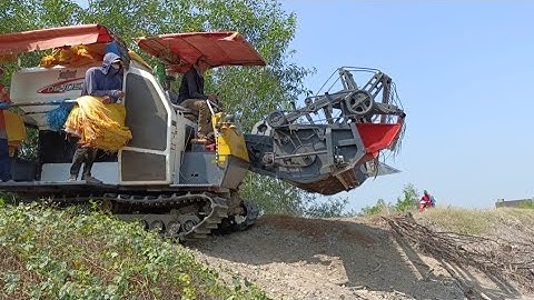 máy cắt lúa 105 binh tóc độ bánh 9 cắt lúa tốc độ siêu nhanh tập #maibangtv