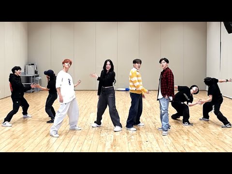 BSS (SEVENTEEN) - 'FIGHTING' Dance Practice Mirrored