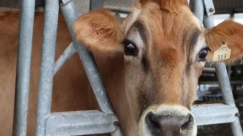 Avocational Ag Intro Video