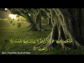 Surah Al Insan Dan Terjemahan Yusuf Kalo 