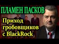 ПЛАМЕН ПАСКОВ. Новая мясная коалиция для заполнения бреши