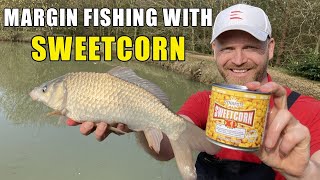 MARGIN FISHING WITH SWEETCORN SESSION - Springtime margin fishing on commercials for carp and F!s