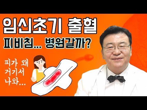 임신초기에 피가 나왔어요 :) 착상혈, 부정출혈, 하혈 피 색깔로 구분 가능한가요? 산모님 임신초기에 피가 나왔다고 놀라지 마세요!