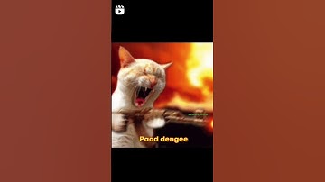 Rom Rom Bhaiyo system far denge #system #funnyvideo
