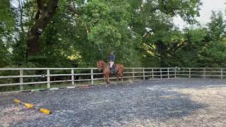 Download Lagu Balou Mena GII X Impala Gll X Baloubet du Rouet ... MP3