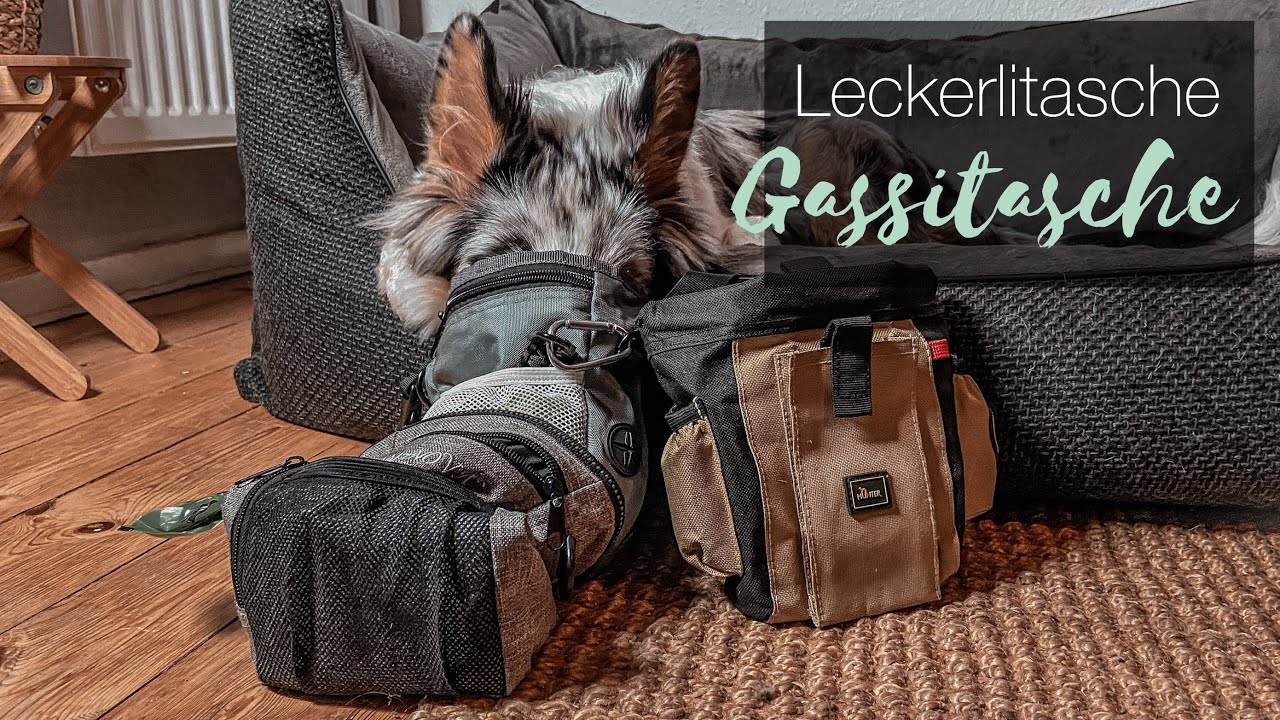 Leckerlitaschen und Leckerlibeutel im Vergleich