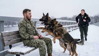 Two K9s Suddenly Charged a Navy SEAL—What Happened Next Stunned the Sheriff