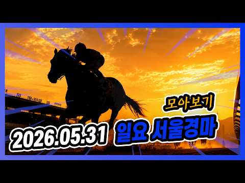 2026년 5월 31일 일요 서울경마 전체경주 모아보기
