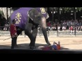 Шоу слонов. Слон делает массаж