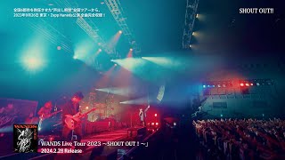 Live Blu-ray「WANDS Live Tour 2023〜SHOUT OUT！〜」 【TEASER】