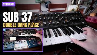 Double Dark Place | Moog Sub 37 Tribute Edition through Strymon and Microcosm